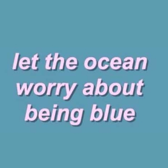 Meet your Posher, Kinsley - Picture 2 of 4